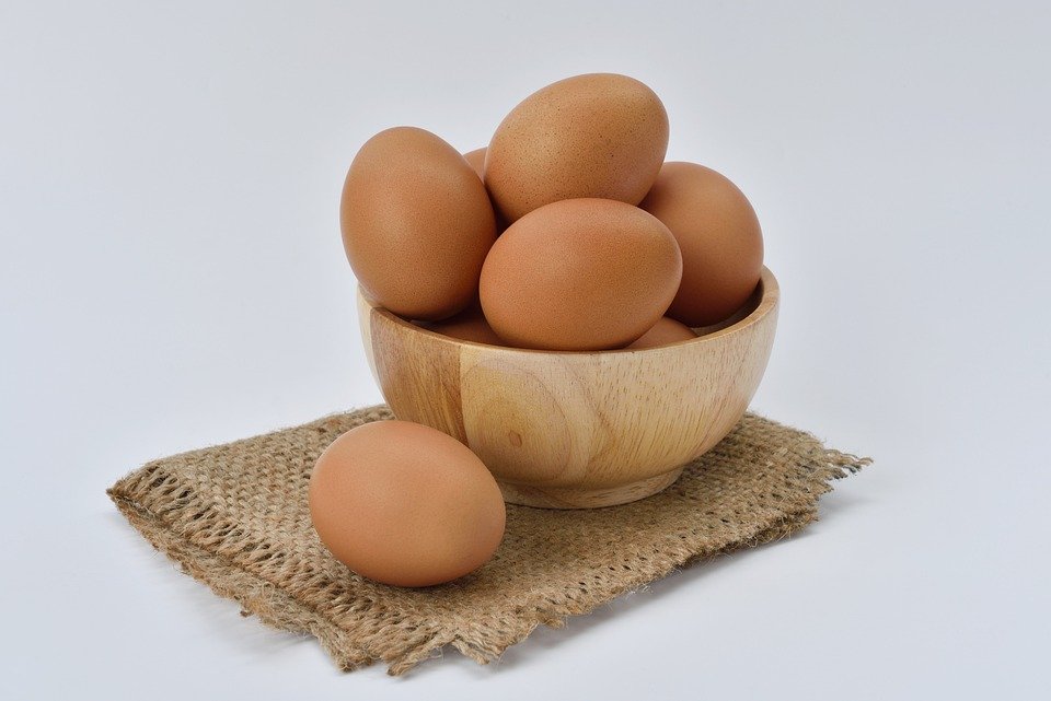 aliments protéinés